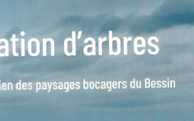 Plantation d&rsquo;arbres/commande