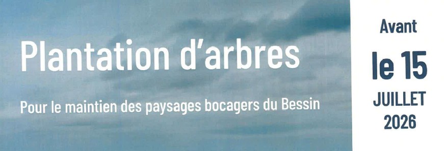 Plantation d&rsquo;arbres/commande